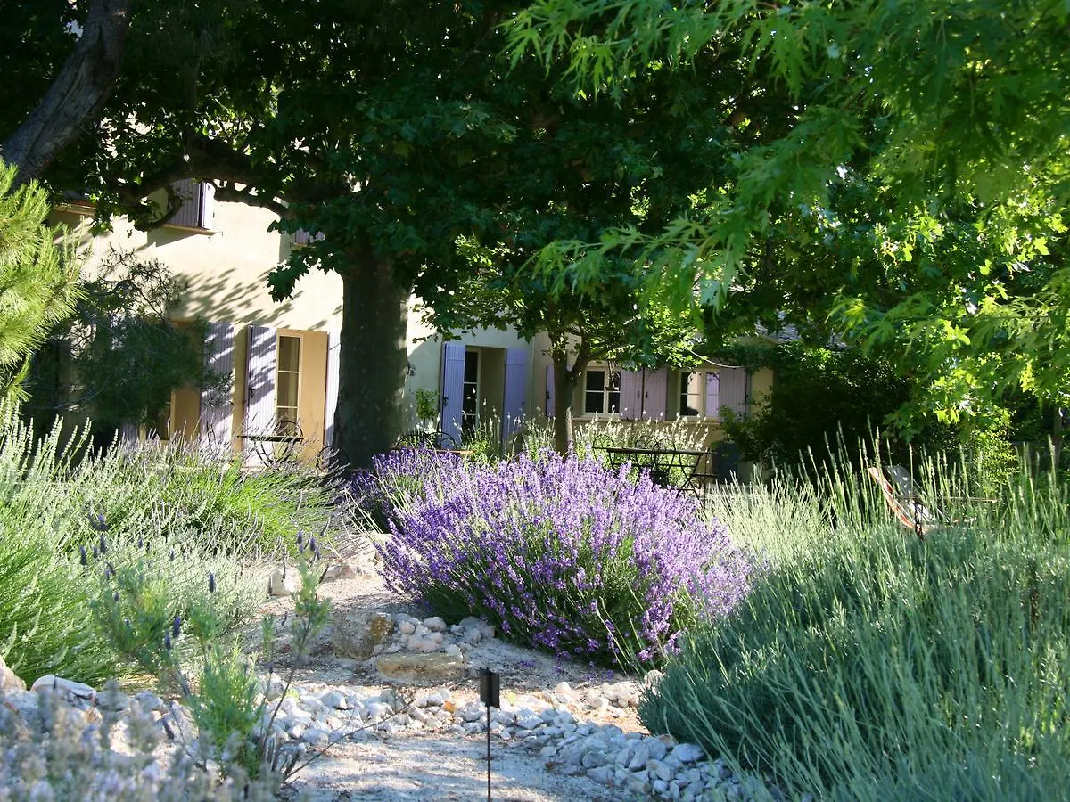 Couleur Lavande location