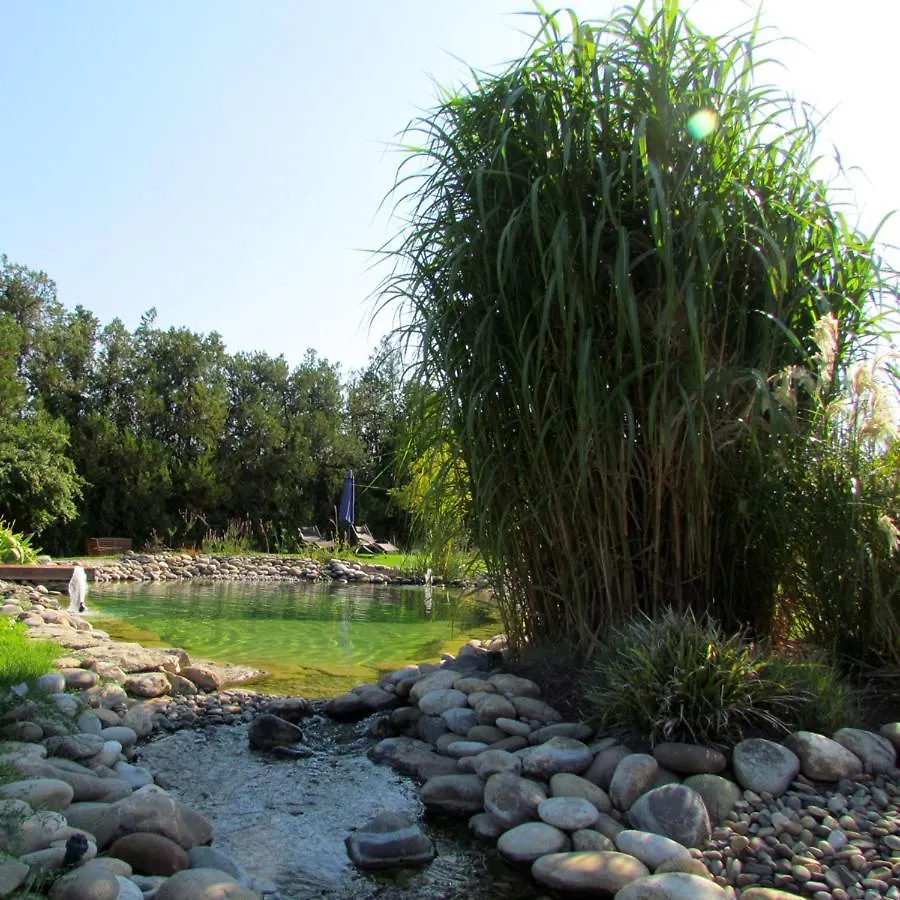 Bed & Breakfast Couleur Lavande Le Thor
