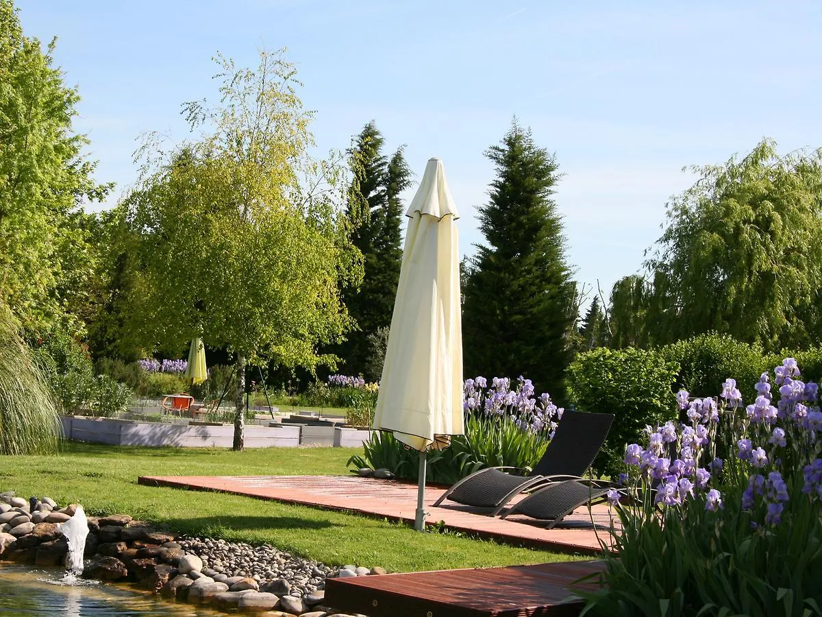 Couleur Lavande Le Thor Bed & Breakfast