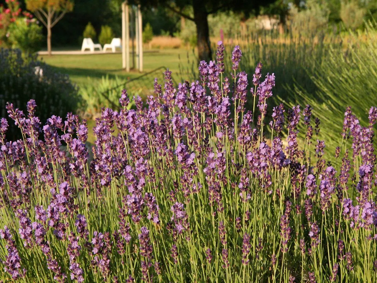 Bed & Breakfast Couleur Lavande Le Thor